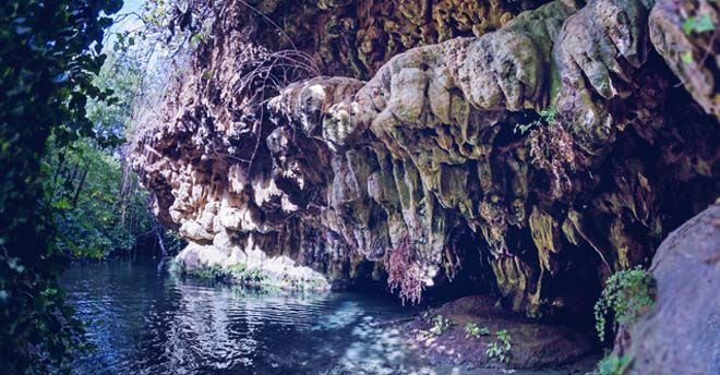 32fb3c9fd8f4471735085ade5de8ec7d66fd4818 fontana lupo oreto jpg 41917 1610142827