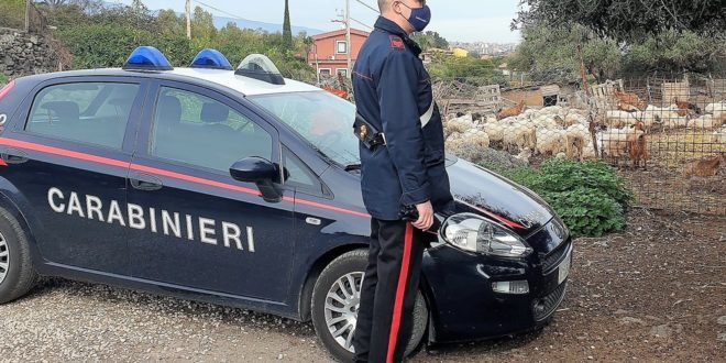 d0a0b57d f890 4d10 a622 d6b87728c44d 1200x500 0.5x0.5 1 crop