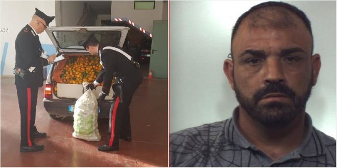 Pellegrino Giovanni cl. 1976