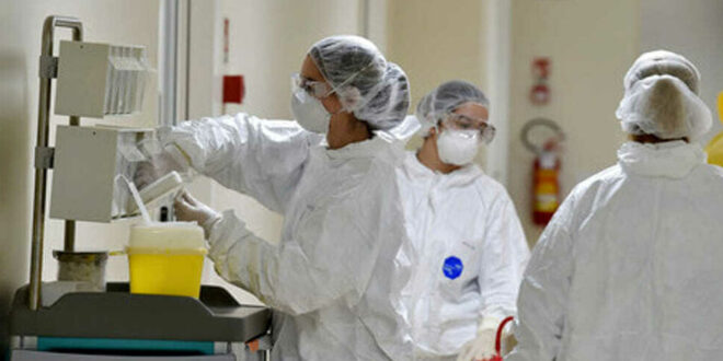 Coronavirus 7 8 2 scaled