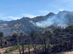 WhatsApp Image 2022 06 06 at 22.11.46